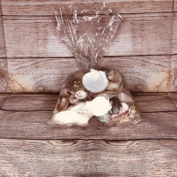 Large Assortment of Seashells - Picture 1 of 3